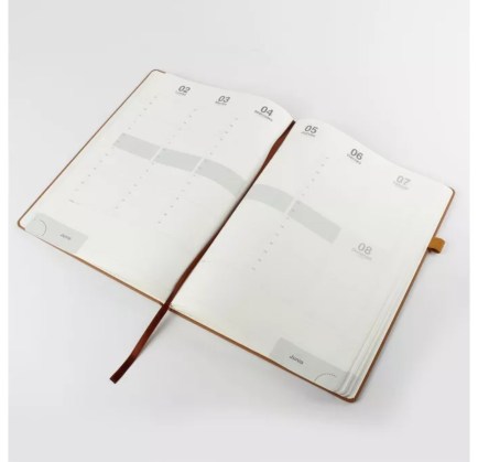AGENDA BOX SEMANAL_ABSG4202506